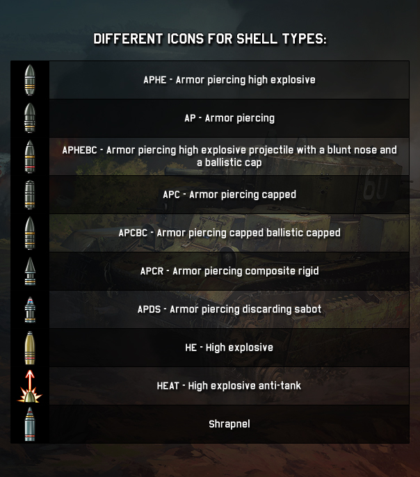 Shells_Eng