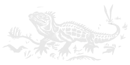 Decal: Lizard emblem, 767th IAP, Poduzhemye Airfield, Karelia, 1942 Decal by Colin 'Fenris' Muir