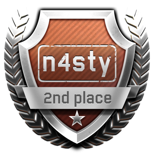 2 место — команда n4sty
