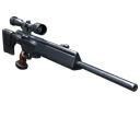 Semi-automatic sniper rifle (Germany) decoration