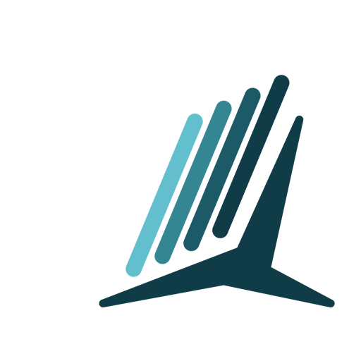 Команда FiveSticks