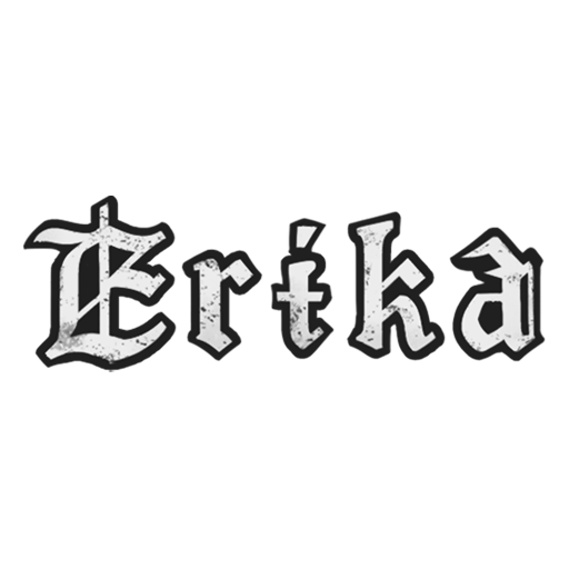 Наклейка «Эмблема 113-го авиакрыла»