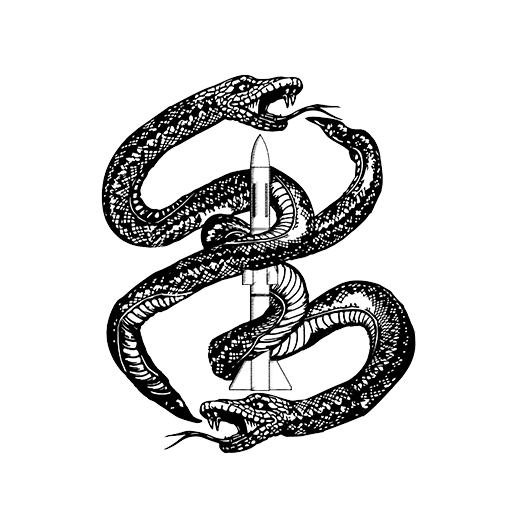 Team Ouroboros